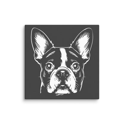 Boston Terrier Dog [00316] Leinwand