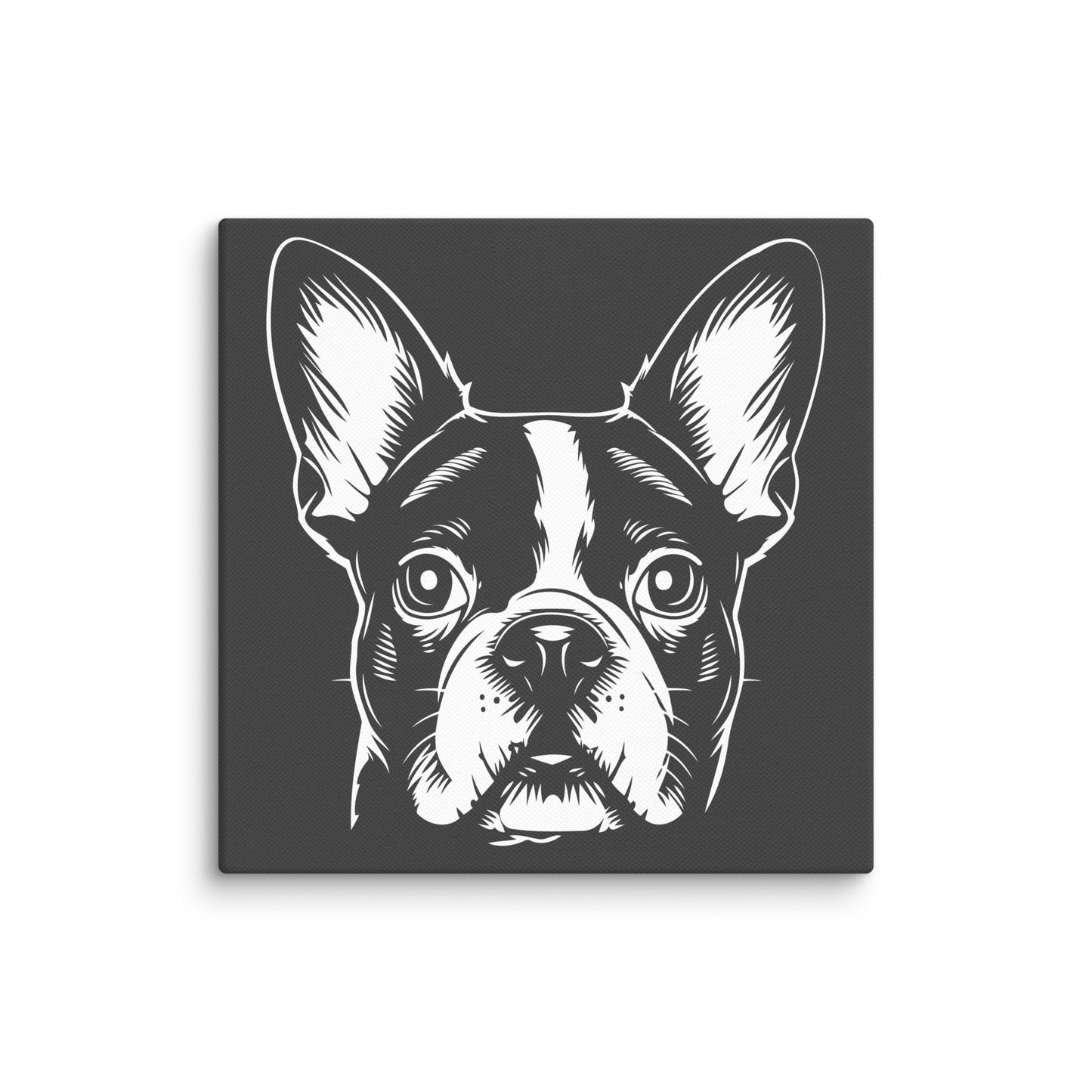 Boston Terrier Dog [00316] Leinwand