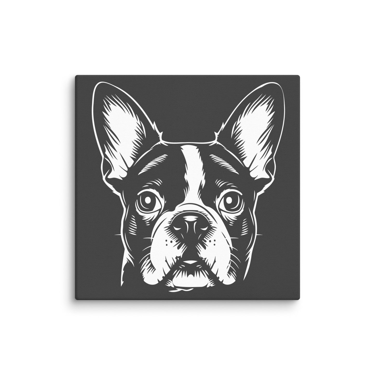 Boston Terrier Dog [00316] Leinwand