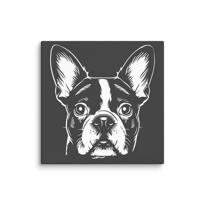 Boston Terrier Dog [00316] Leinwand