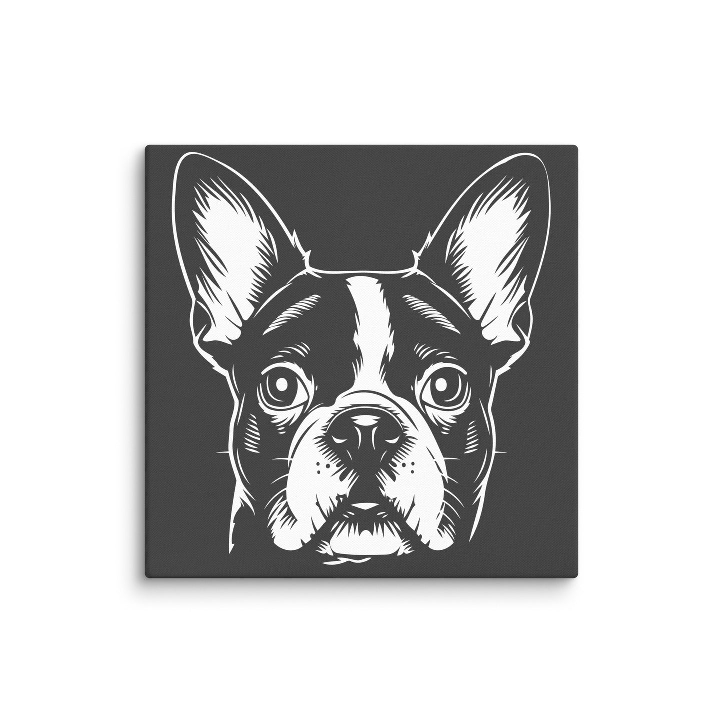 Boston Terrier Dog [00316] Leinwand