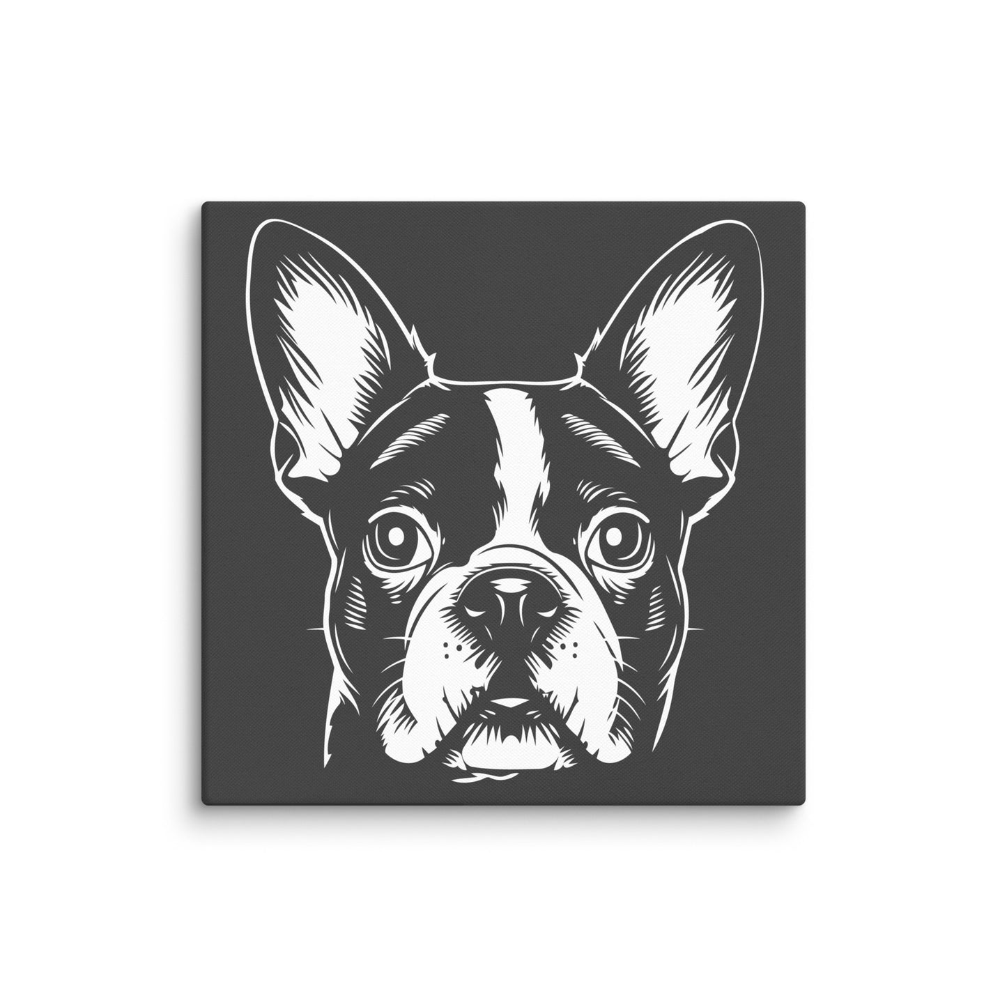 Boston Terrier Dog [00316] Leinwand