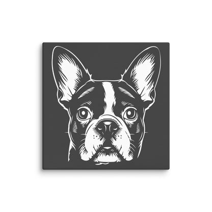 Boston Terrier Dog [00316] Leinwand