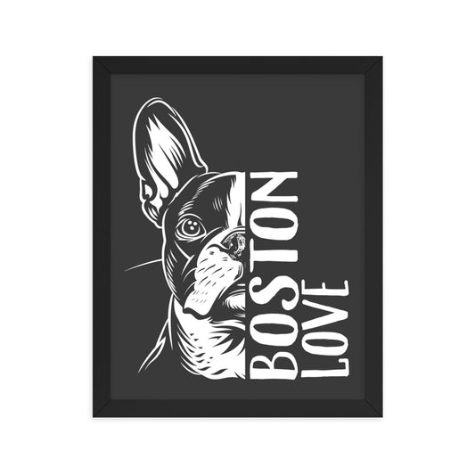 Boston Terrier Dog [00318] Poster mit Rahmen