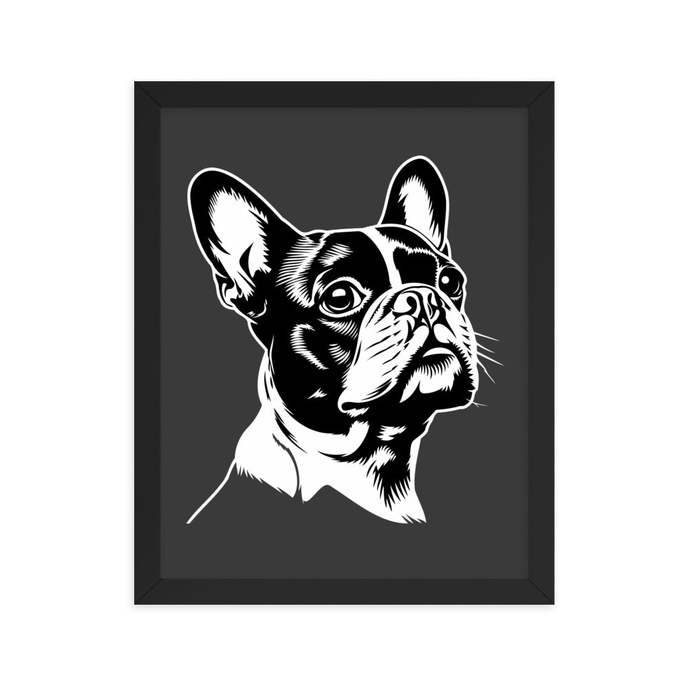 Boston Terrier Dog [00317] Gerahmtes Poster