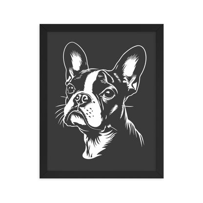 Boston Terrier Dog [00308] Poster mit Rahmen