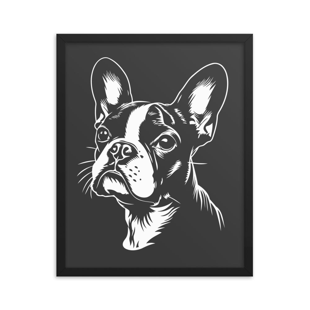 Boston Terrier Dog [00308] Poster mit Rahmen