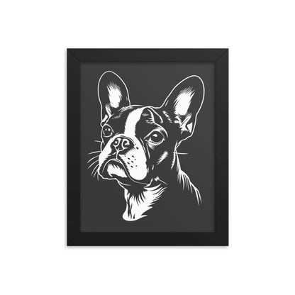 Boston Terrier Dog [00308] Poster mit Rahmen