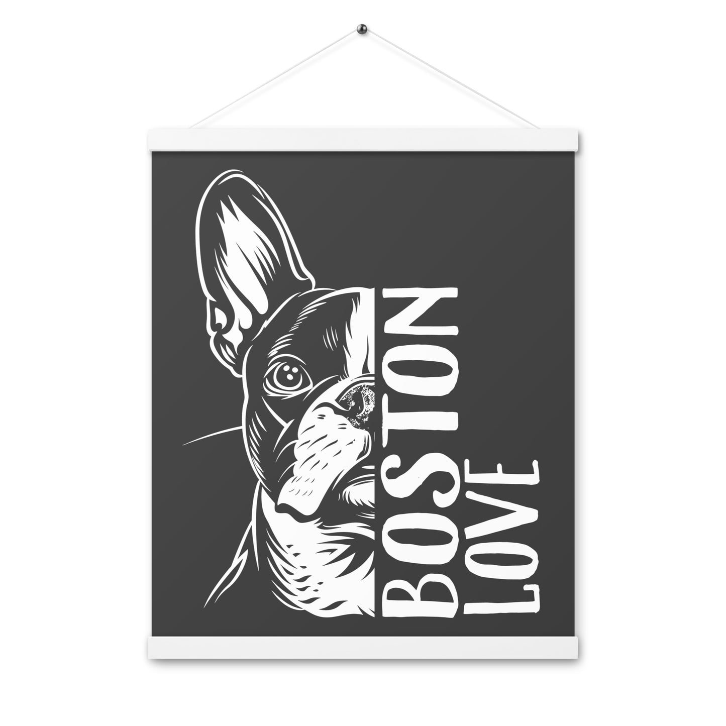 Boston Terrier Dog [00318] Poster mit Aufhängung