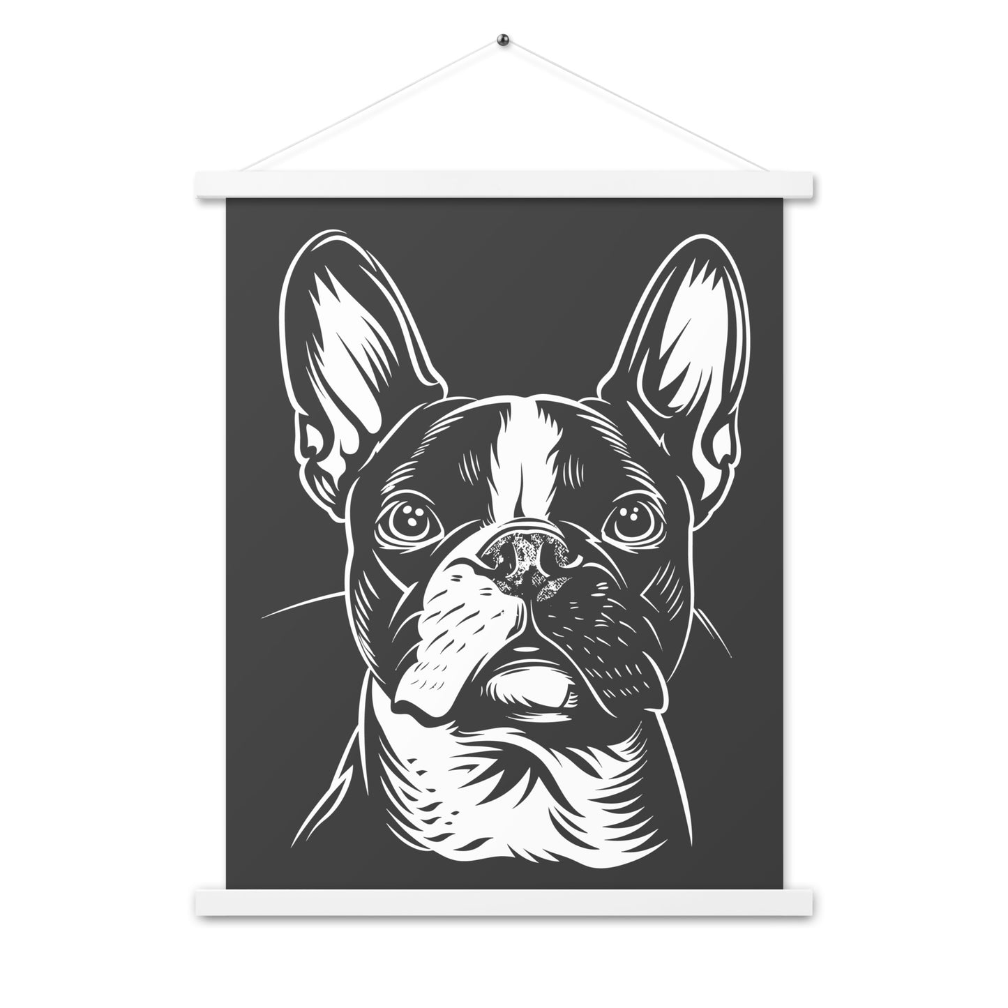 Boston Terrier Dog [00318] Poster mit Aufhängung