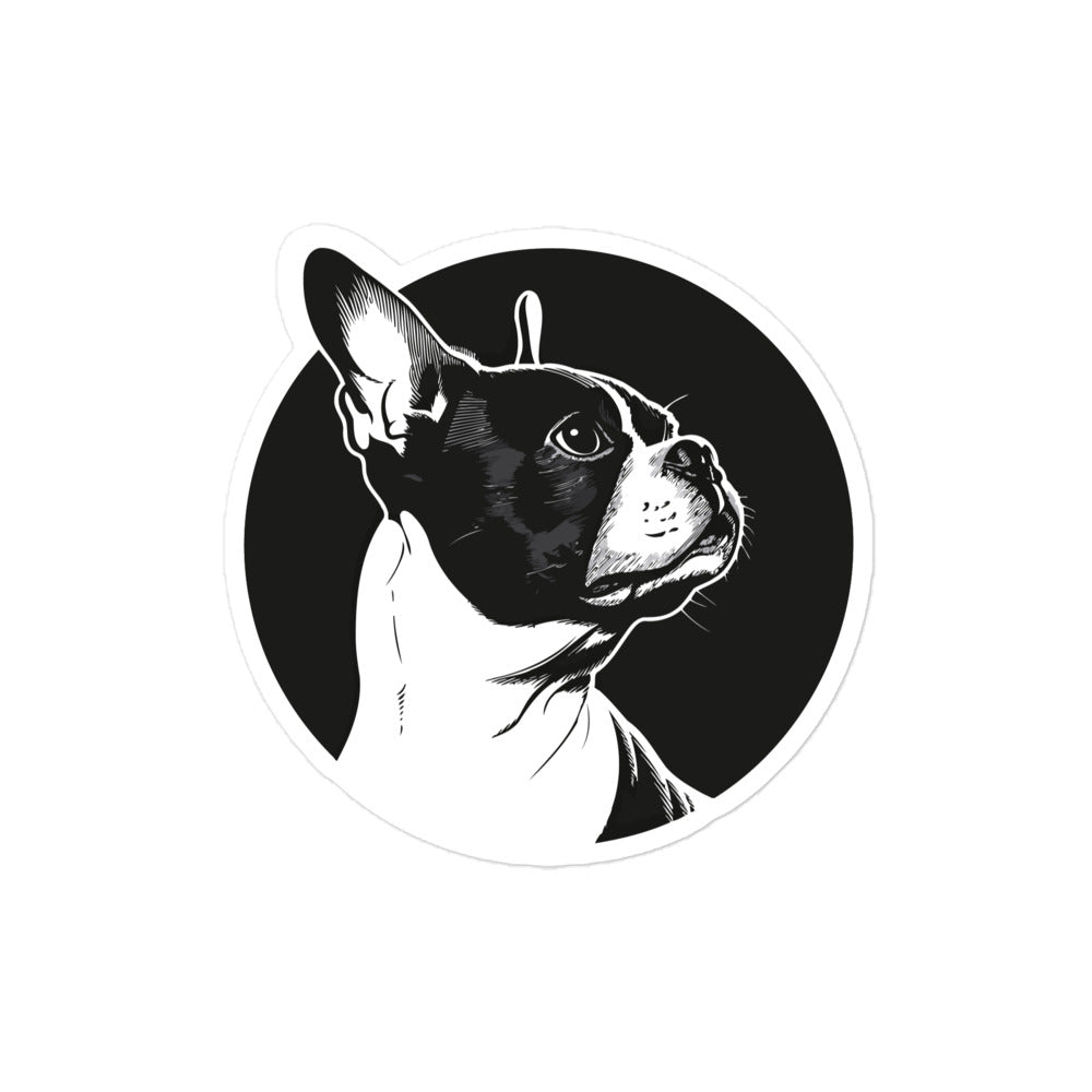 Boston Terrier Dog [00313] Sticker