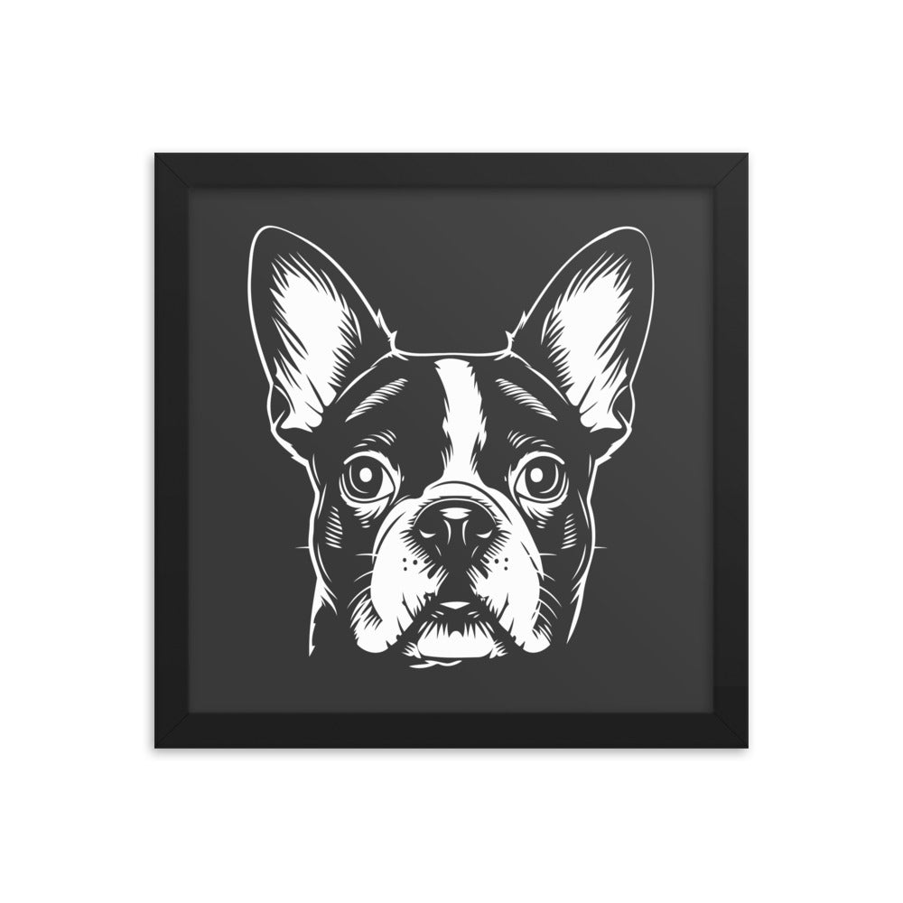 Boston Terrier Dog [00316] Poster mit Rahmen