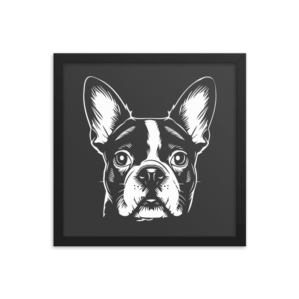 Boston Terrier Dog [00316] Poster mit Rahmen