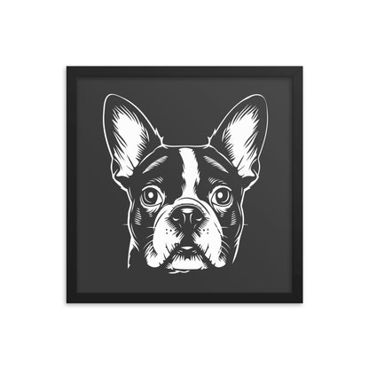 Boston Terrier Dog [00316] Poster mit Rahmen